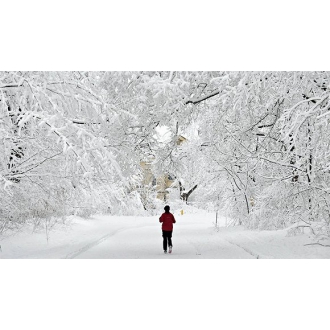 為什么一下雪，世界就變得很安靜？
