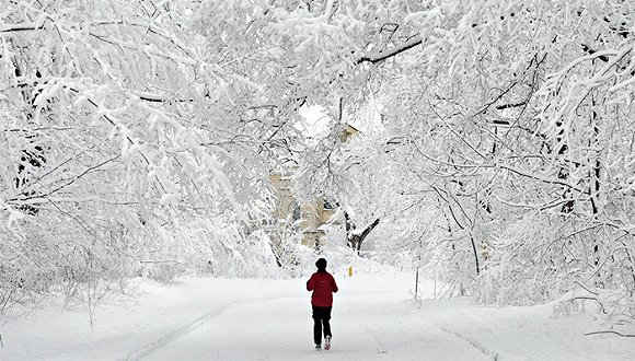 為什么一下雪，世界就變得很安靜？